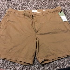 Brand New Good Fellow Dress Khaki short